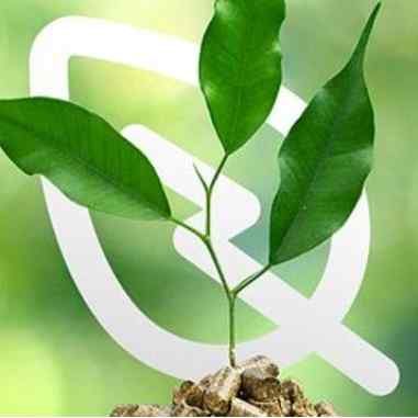 Blas Gil Gil's picture